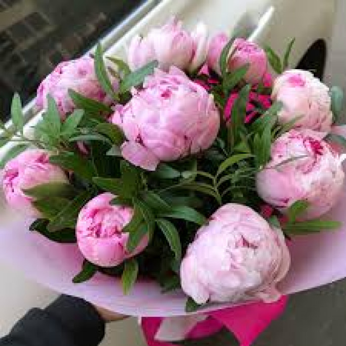 Пион древовидный в Караганде