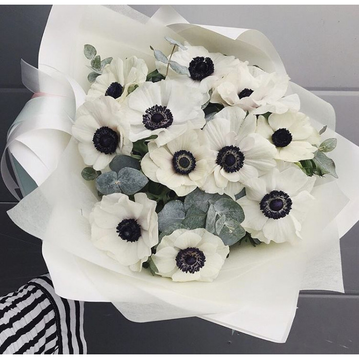 Анемоны в Караганде