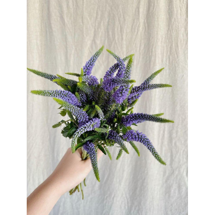 Вероника в Караганде