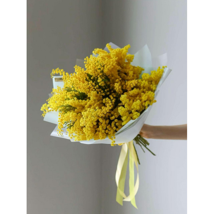 Мимоза в Караганде