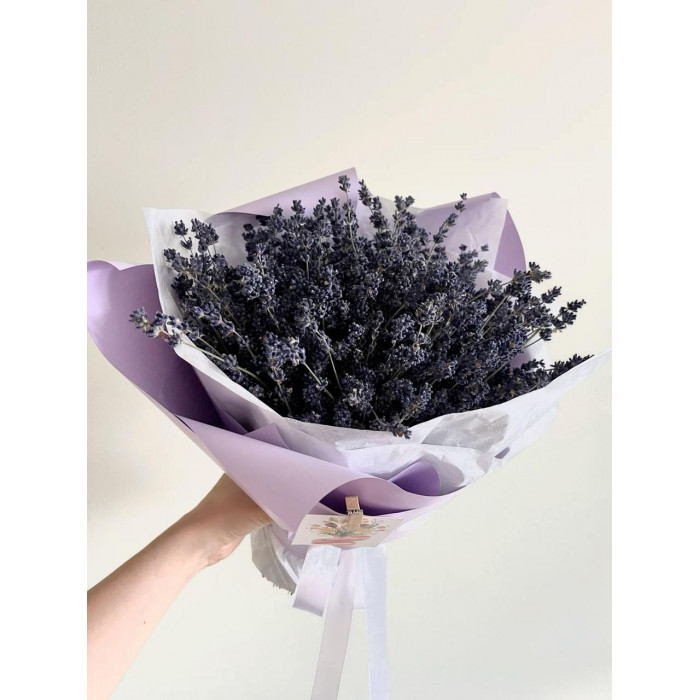 Лаванда в Караганде