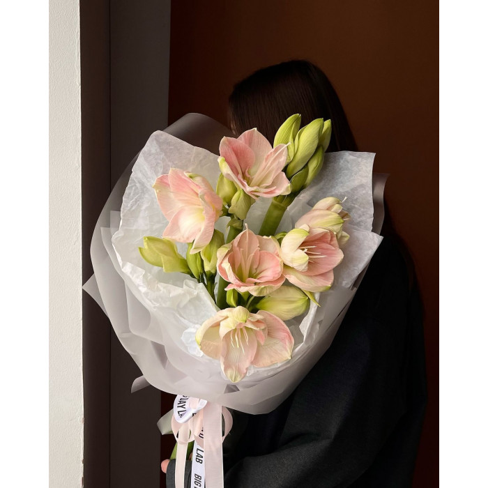 Амариллис в Караганде