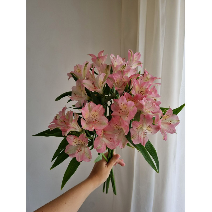 Альпиния в Караганде