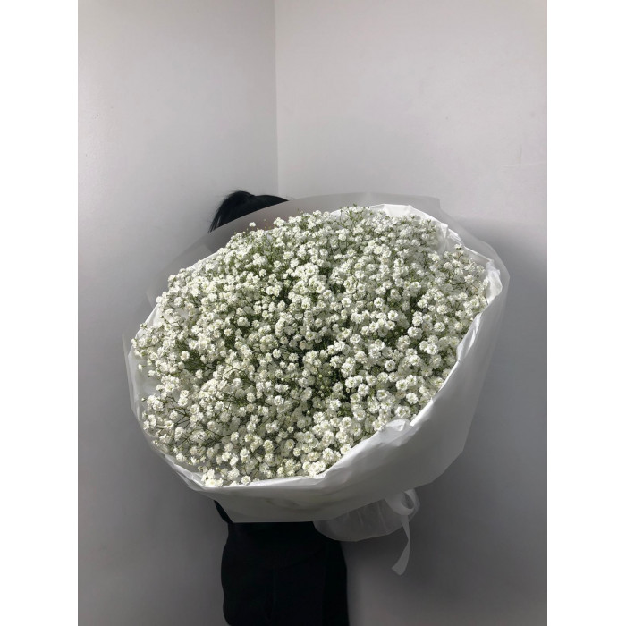 Гипсофила классическая в Караганде