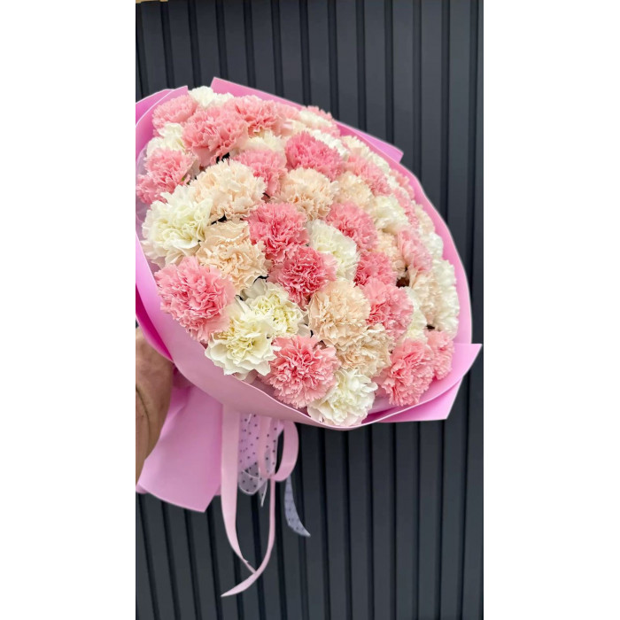 Диантусы в Караганде