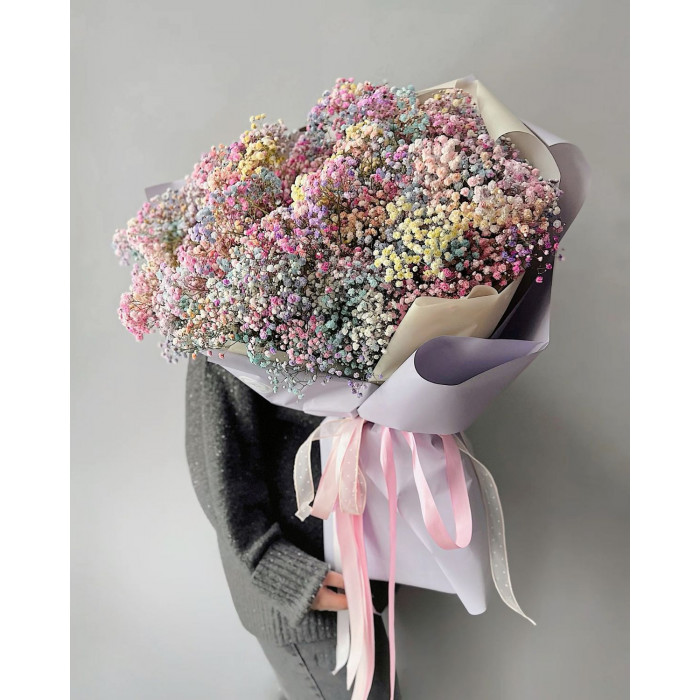 Гипсофила цветная в Караганде