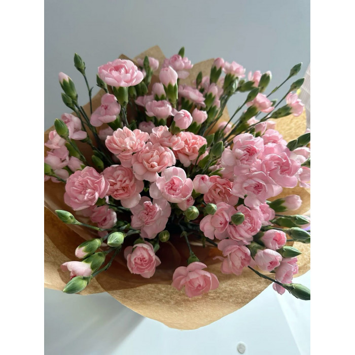 Кустовые гвоздики в Караганде